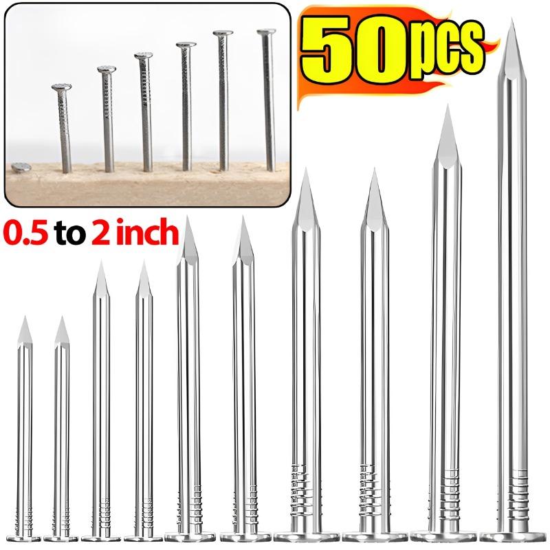 Stainless Steel Round Nails DIY Woodworking Nails Strong Load-Bearing Nails for Hanging Pictures Wood Projects Wall Hanging Kit