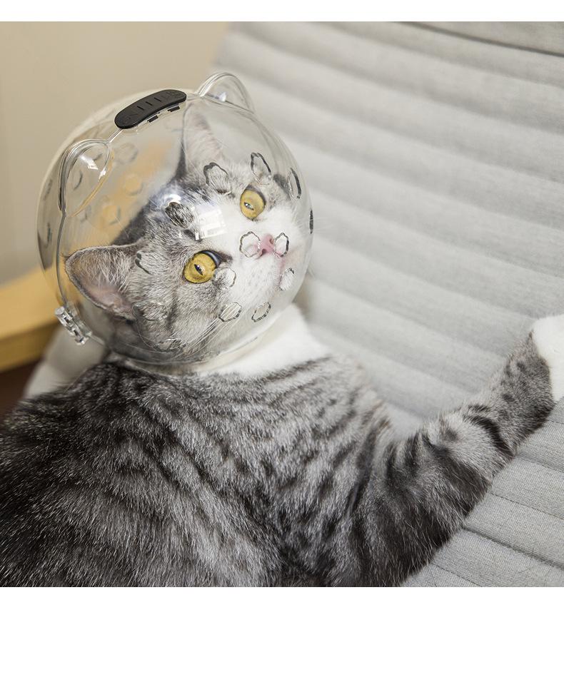 Pet Cat Transparent Space Helmet - Breathable Anti-Scratch Bite-Resistant Design with Cat Ears