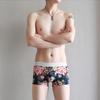 Summer Men's Ice Silk Underwear Ultra-thin Mid Waist Sexy Breathable Flat Angle Pants for Teenagers
