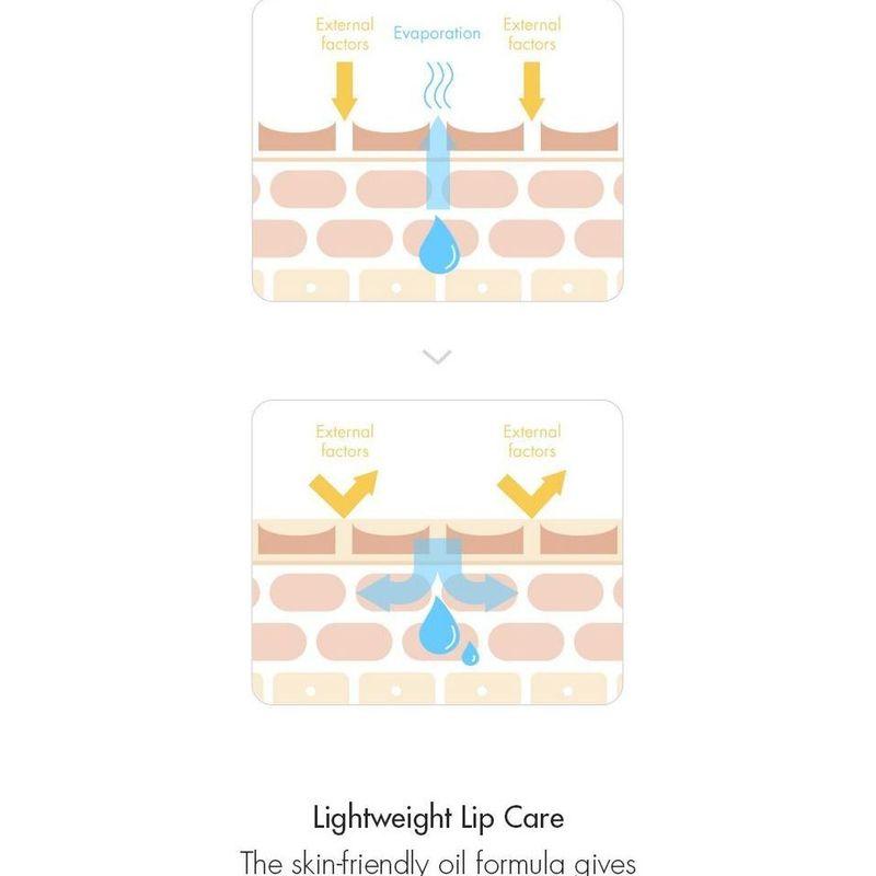 DR. Ceuracle - Veganer Kombucha Tee Lippenbalsam