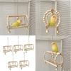 5pack Budgies Playgrounds Parakeets Swing Avian Exercise Equipment Parakeets Toy for Small to Media Parrots