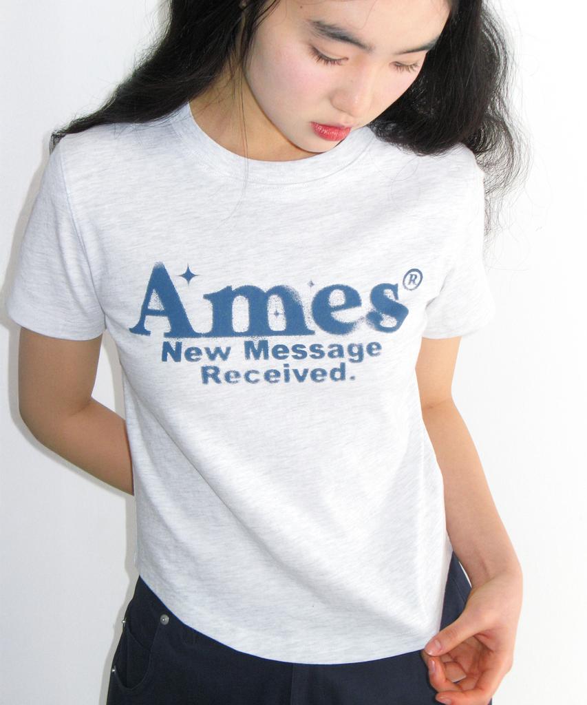 AMES-WORLDWIDE Round Hem Crop Tee Light Gray