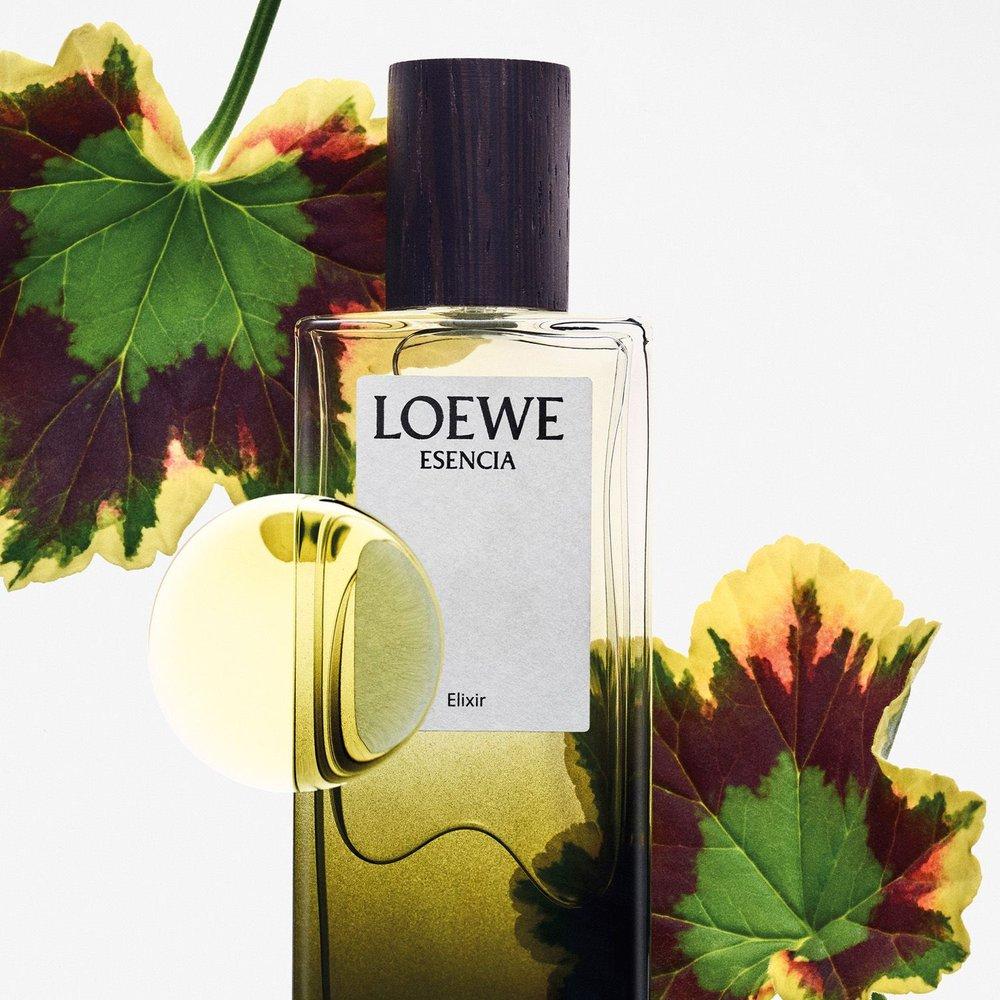 Loewe Essencia Elixir Eau de Parfum Pour Homme 100ml