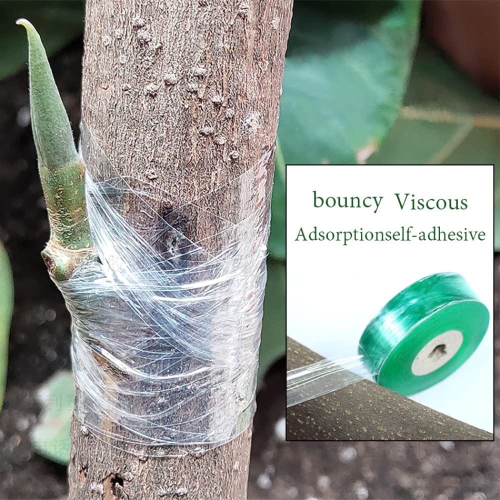 Self-Adhesive Pe Grafting Tape Film Stretchable Garden Tree Plants Seedlings Vine Tomato Grafting Accessories