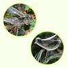 Plant Watering Bulbs Glass Self Watering Stakes Water Globe for Garden Patio Flower Pot Hanging