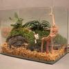 Practical New Natural Trunk Driftwood Root Wood For Aquarium Fish Tank & Reptile Terrarium Landscape Decoration Pet Supplies