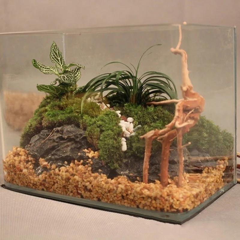 Practical New Natural Trunk Driftwood Root Wood For Aquarium Fish Tank & Reptile Terrarium Landscape Decoration Pet Supplies