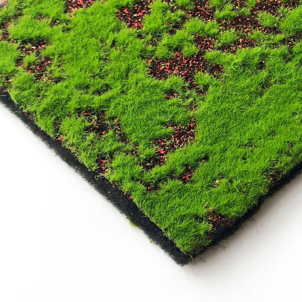 Creative Micro Landscape Decorative Moss & Turf Eco-Bottle