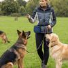 Magnetic Closure Silicone Dog Training Treat Pouch Waterproof with Belt Clip Dog Training Waist Bag Stain-resistant Solid Color