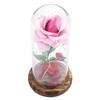 Preserved   Flower LED Light with Glass Cover & Wooden Base Valentines Day Wedding Gift Red
