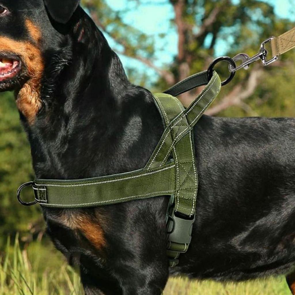 No-Pull Dog for Large Dogs with Leash, Adjustable Vest for Walking and Training