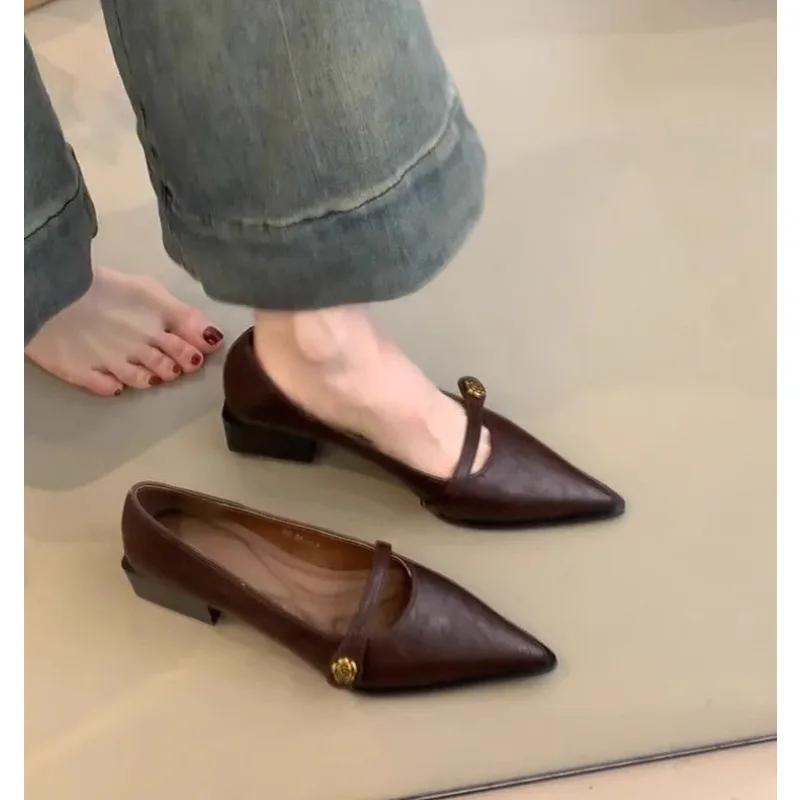 Vintage Low-heeled Shoes Women's Shoes 2025 Spring and Summer New Fashion Gold Buckle Pointed Thick-heeled Small Leather Shoes