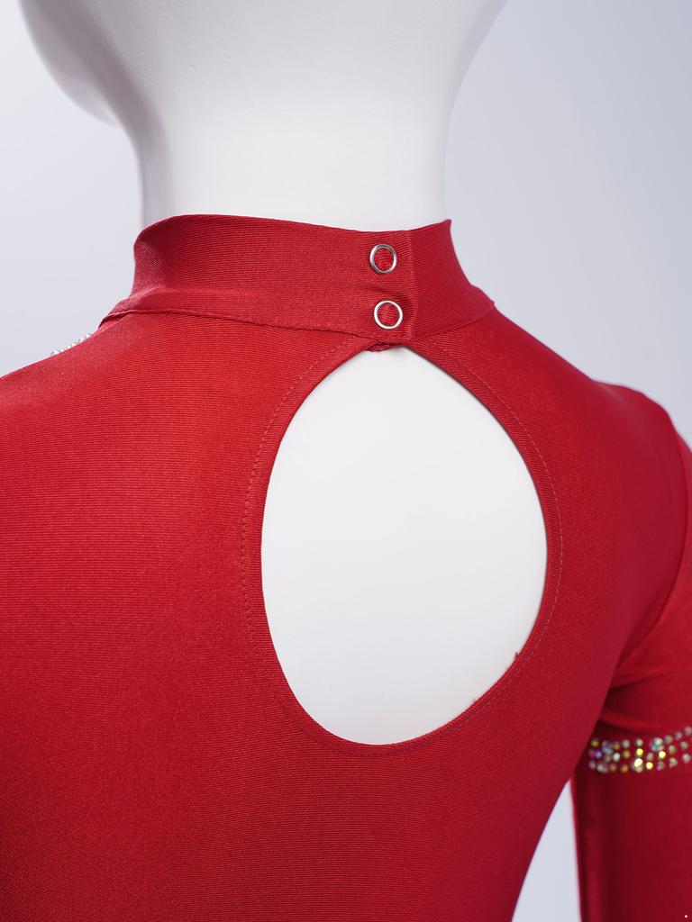 Girls Fringe Latin Dance Costume Mock Neck Long Sleeve Keyhole Back Shiny Rhinestones Tassels Leotard