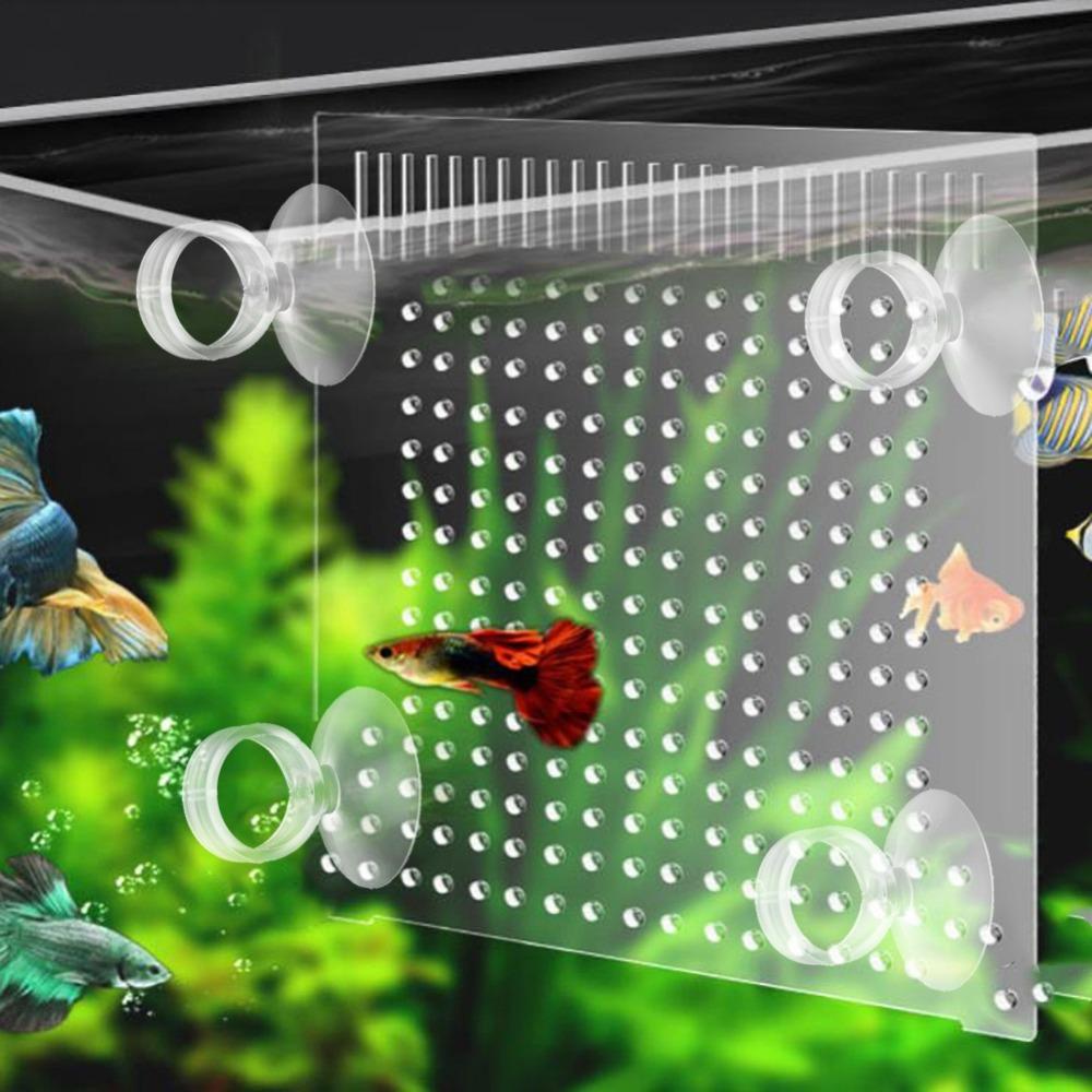 20PCS Set Durable Clear White Aquarium Suction Cup 2.2cm Tube Holder Water Pump Tube Holder 1.6cm Fish Tank Sucker Aquarium