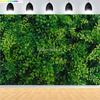 Tropical Plant Jungle Grass Green Palm leaves Photography Backdrops Watercolor Botanical Birthday Party Summer Background PL-07
