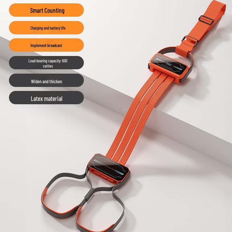 Chaokai Pull-Up Assist Band