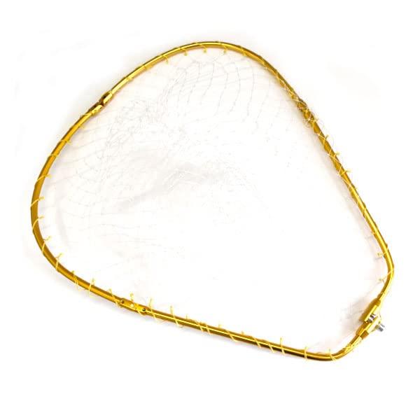 Azzurro Landing 45cm x Gold Frame, Stout, 4-Fold, 55cm,