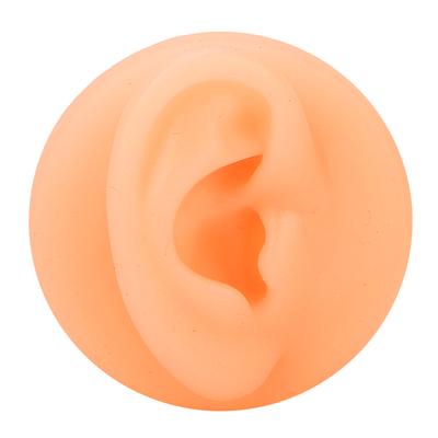 Silikonowy Model do Ćwiczeń Akupunktury Ucha Wielokrotnego Użytku Model Symulacyjny Ucha Model Ekspozycyjny Ucha Sztuczny Model Ucha Prawy