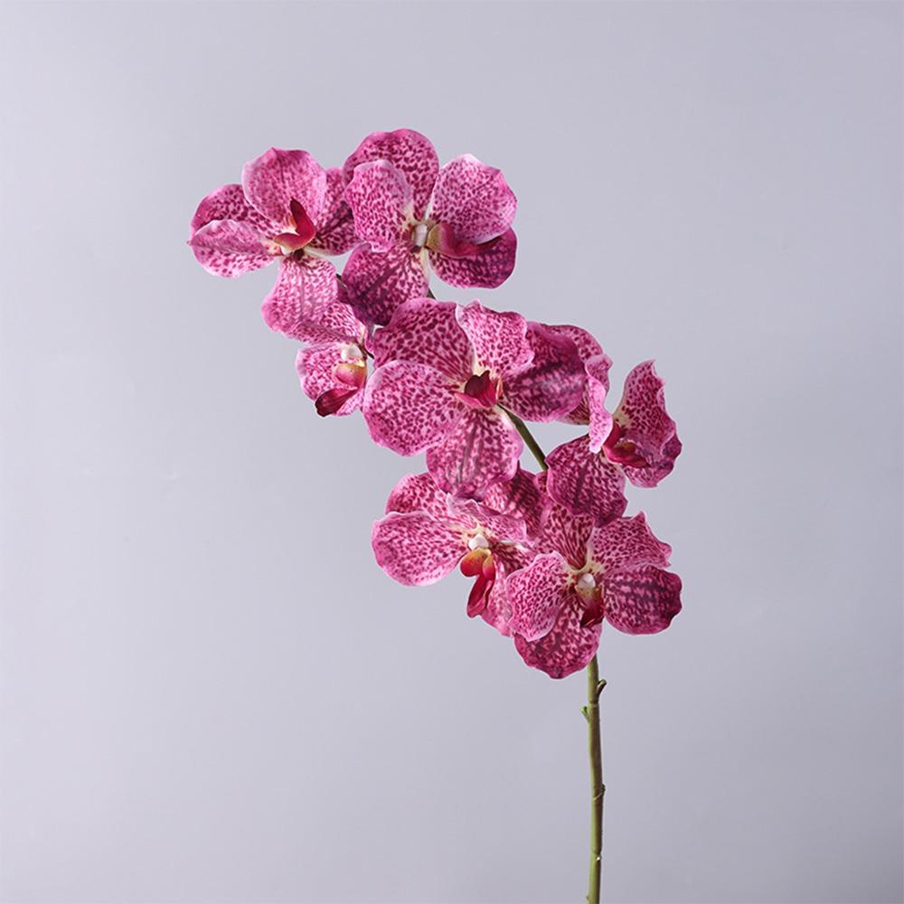 Plastic Phalaenopsis Branch Moisturizing Real Touch Orchids Simulation Flower  Office Decor