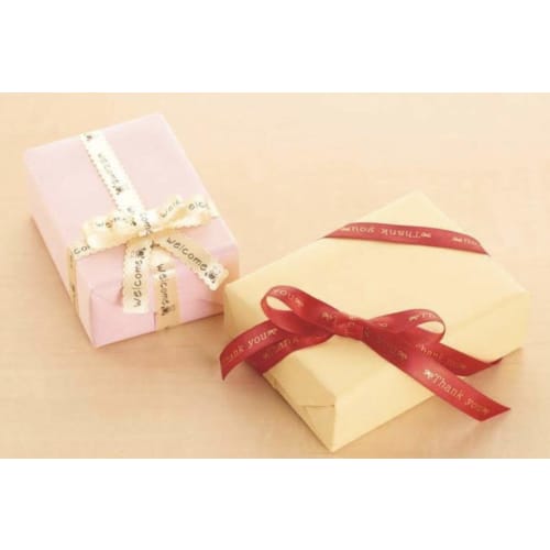 KINGJIM Monochrome Label Writer "Tepla" PRO SR170RY