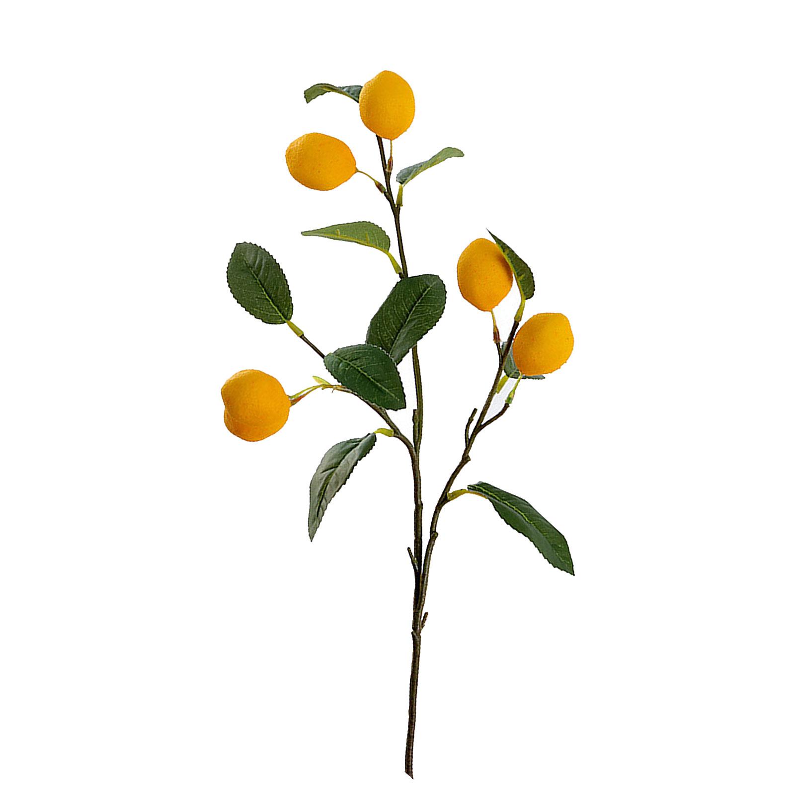 Искусственные ветки мандарина, имитация апельсиновой ветки, реалистичная декоративная поддельная фруктовая ветка Type 2