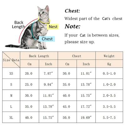 Cute Hairless Cat Clothes Winter Pet Costumes for Cats Kitten Sphynx Hoodie Sweater Mascotas Outfits Dog Clothing Katten Kleding