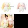 Adorable Bunny Plush Toy With Cute Puffed Cheeks For Kids' Gift