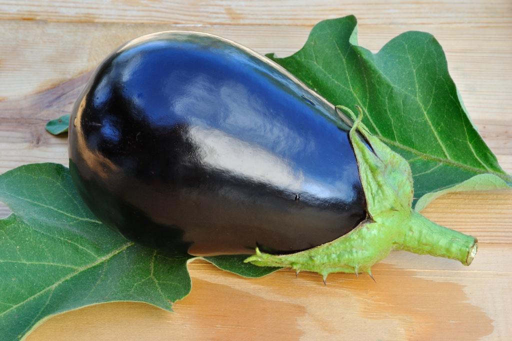 SAFLAX Garden In the Bag - Organic - Aubergine - Black Beauty - 25 Seeds - With Substrate In a Fitting Stand Up Bag - Solanum Melongena