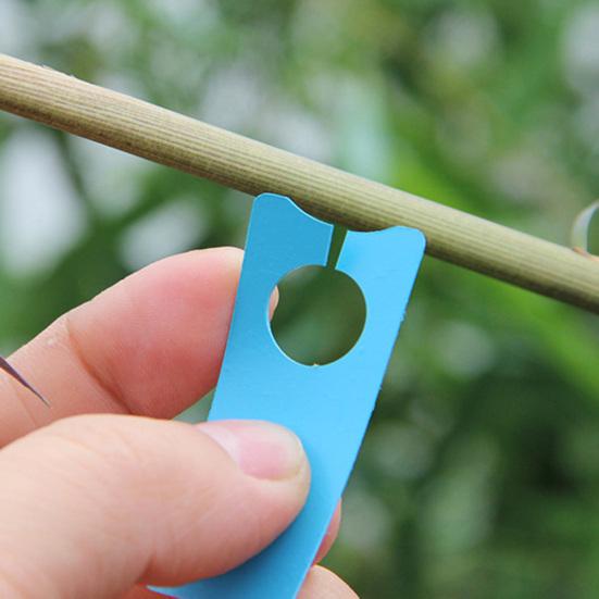 200st Druvetiketter Melon Frukt Taggar Skylt Orchard Plant Marker Trädgårdsdekoration Yousheng