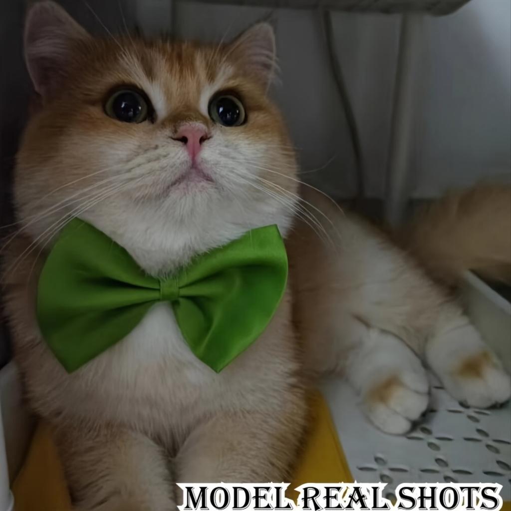 10pcs The latest 2026 pet collar set includes 10 decorative colorful bow collars - adjustable and machine washable.