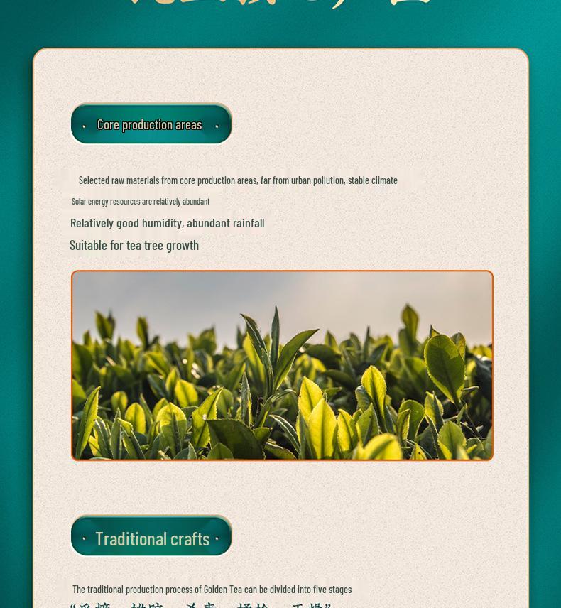 Golden Bud White Tea: 2025 Pre-Qingming High Mountain Green Tea, Tender Buds, 250g Caddy, Free Shipping