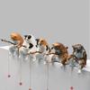 5pcs Cute Fish Tank Fishing Cat Hanging Ornament, Creative Landscaping Micro Landscape, Desktop Mini Cat Fishing Decoration