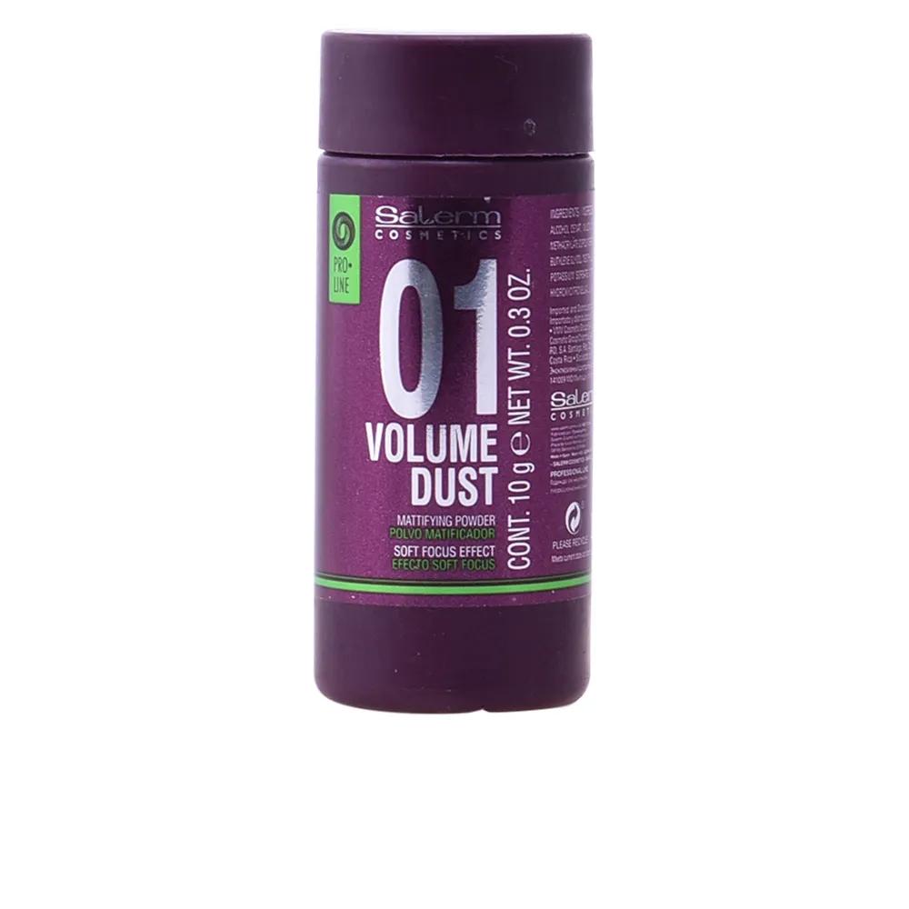 Salerm Cosmetics 01 Volume Dust Матирующая пудра 10 г