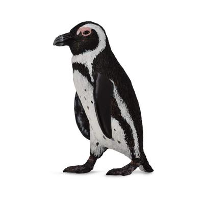 Cape Penguin 88710