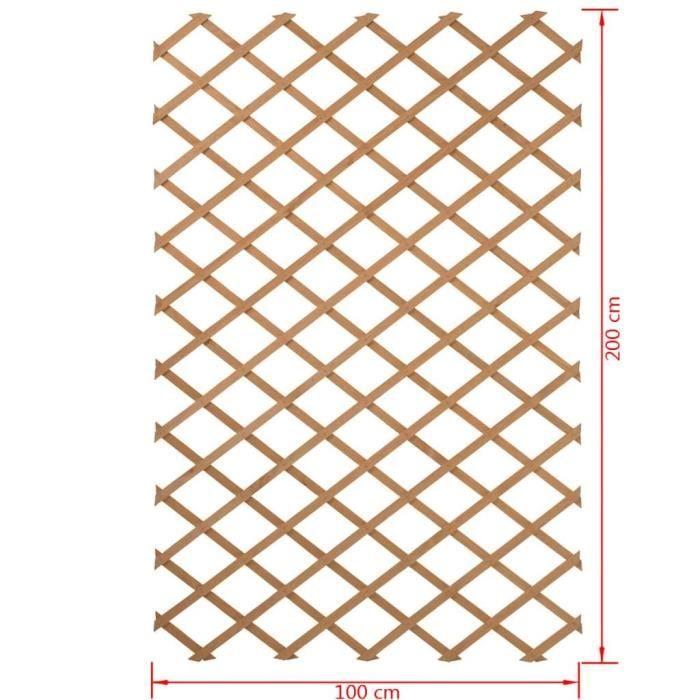 Treillis extensible en bois 100 x 200 cm Nature