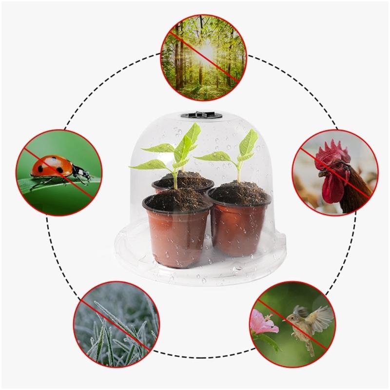 Clear Nursery Protectors Transparents Protecting Cover Greenhouses Enhances Plant Growth In Greenhouses