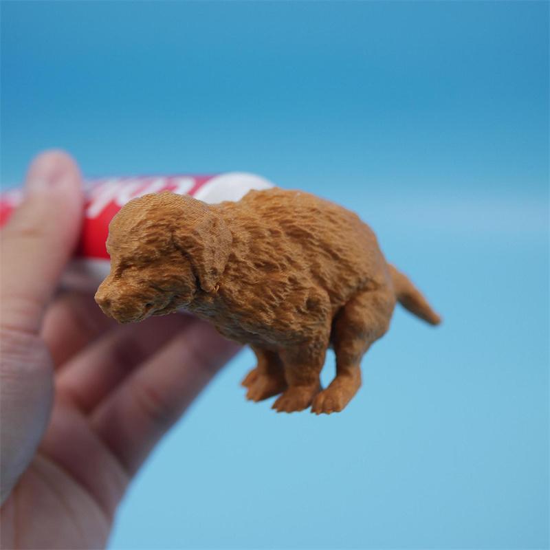 

Креативная пародия на зубную пасту в виде головы золотистого ретривера, дозатор зубной пасты в виде собачьего какашки