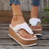 Designer Slippers Women's Flip-flops Wedges High Heeled Slippers Summer Pinch Toe Casual Slippers for Women Platform Sandalias