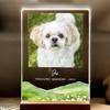 Personalized Photo Pet Memorial Plaque Sympathy Gift Condolence Remembrance In Loving Memory Beloved Dog Cat Pet Loss Keepsake