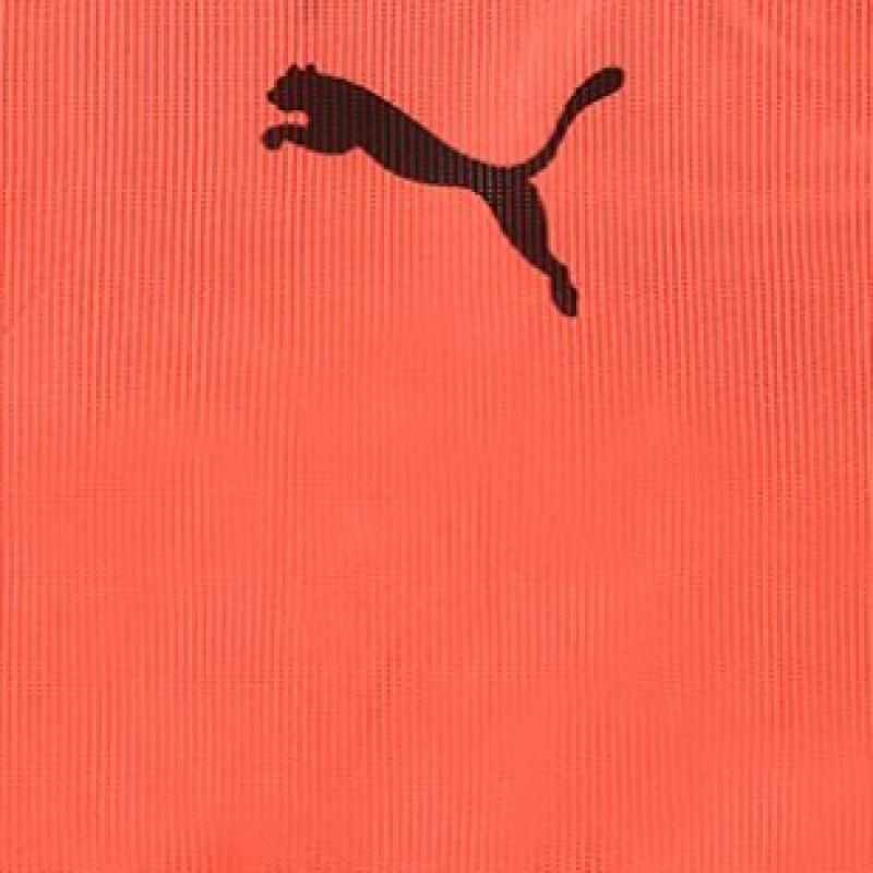 Puma Team Vest Bib Vest