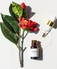 [CELLBN] Camellia Seed Oil 10ml x2 Moisturizing Facial Oil