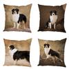 Cute Australian Shepherd Dog Pillow Case Peach Skin Decor Pet Animal Cushion Cover Thorw Pillowcase for Sofa Home Car 45x45cm