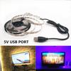 Led Stripe 5V IP65 USB Cable Waterproof Light Lamp SMD3528 50cm 1m 2 Christmas Flexible Led Stripe Lights TV Background Lighting