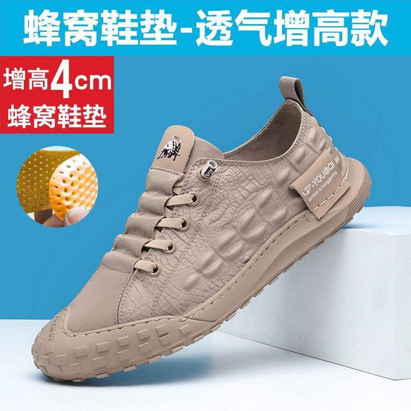 Ice Silk Cloth Shoes Men's 2025 New Summer Breathable Men's Versatile Casual Old North Cloth Shoes Korean Version of Trendy Board Shoes