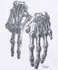 Nomaenyueol Robotic Hand Nm T-Shirt - White