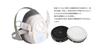 3M Gas Mask Mask Set for Working with Organic Solvents 1200/3301J-55