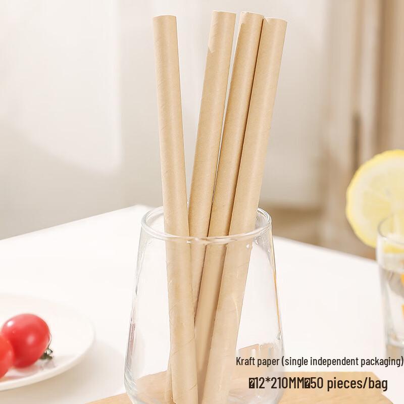 JIAYAN Individually Wrapped Disposable Paper Straws
