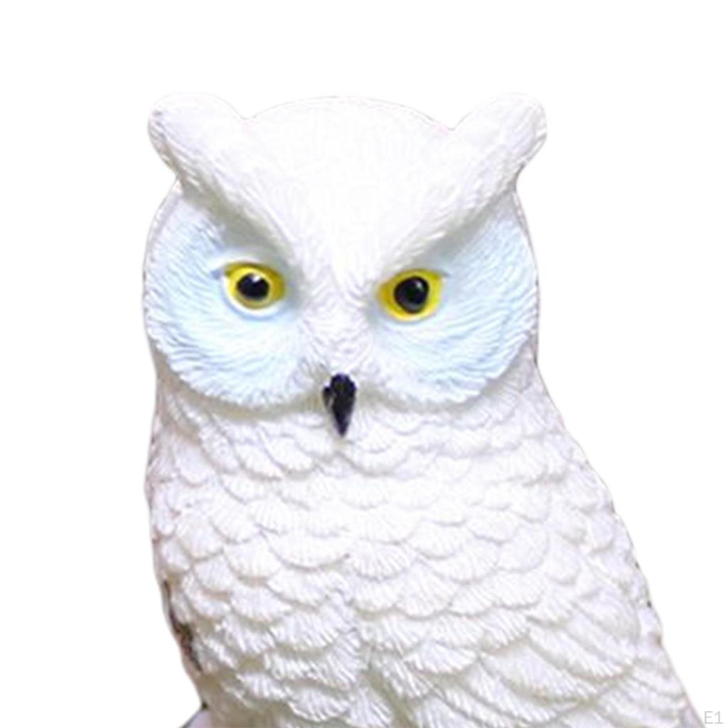 4Pcs Miniature Owl Figurines Mini Owls for Bonsai Craft Decor Micro Landscape