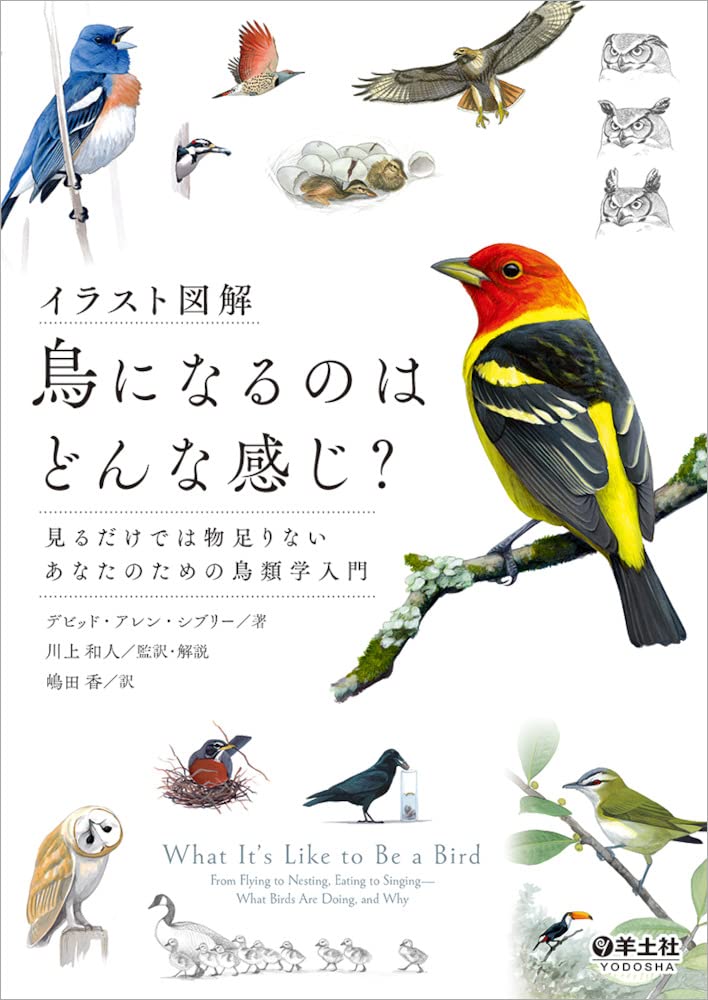 An illustrated guide to what it s like to be a bird: An introduction to ornithology for those who want more than just visuals.