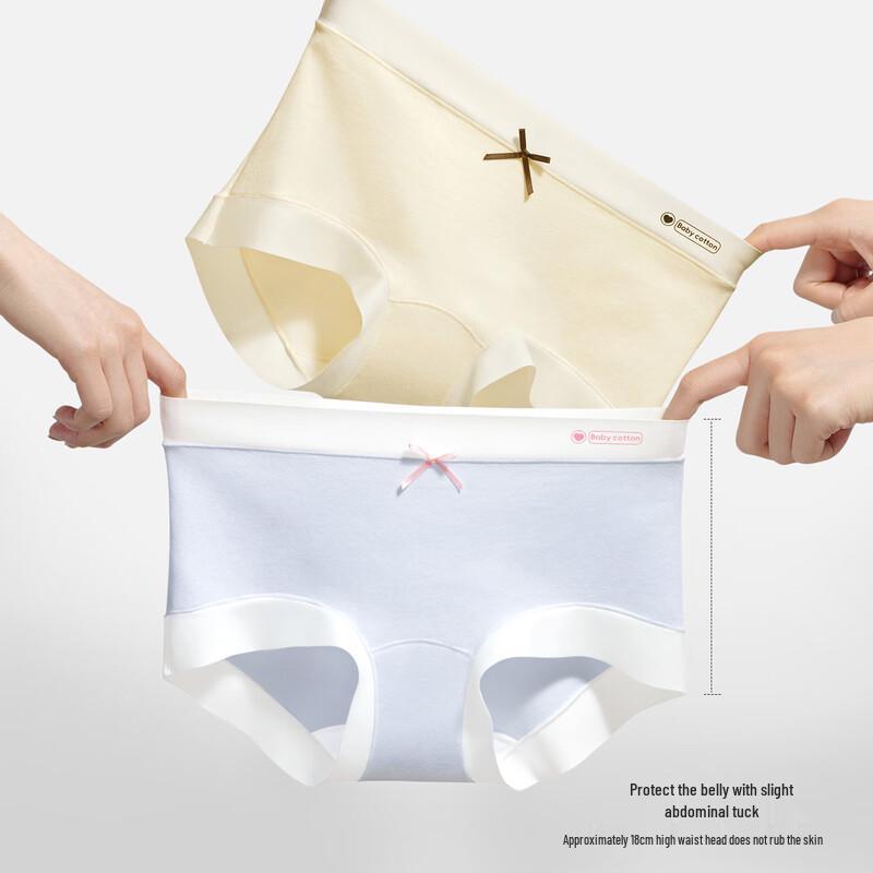 SecretWorld Women's High-Waist Cotton Antibacterial Briefs